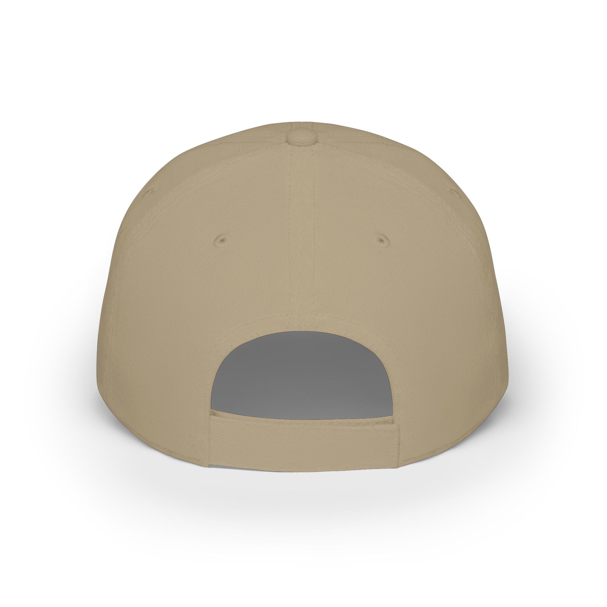 Salty Chick Low Profile Embroidered Baseball Cap – Fishing