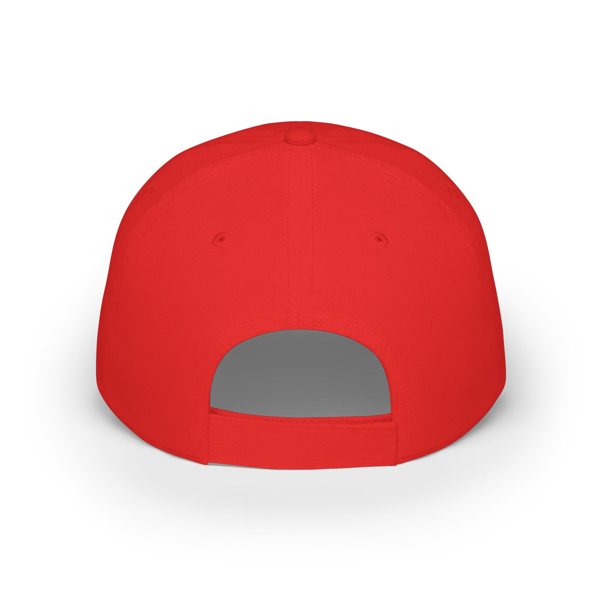 Salty Chick Low Profile Embroidered Baseball Cap – Fishing