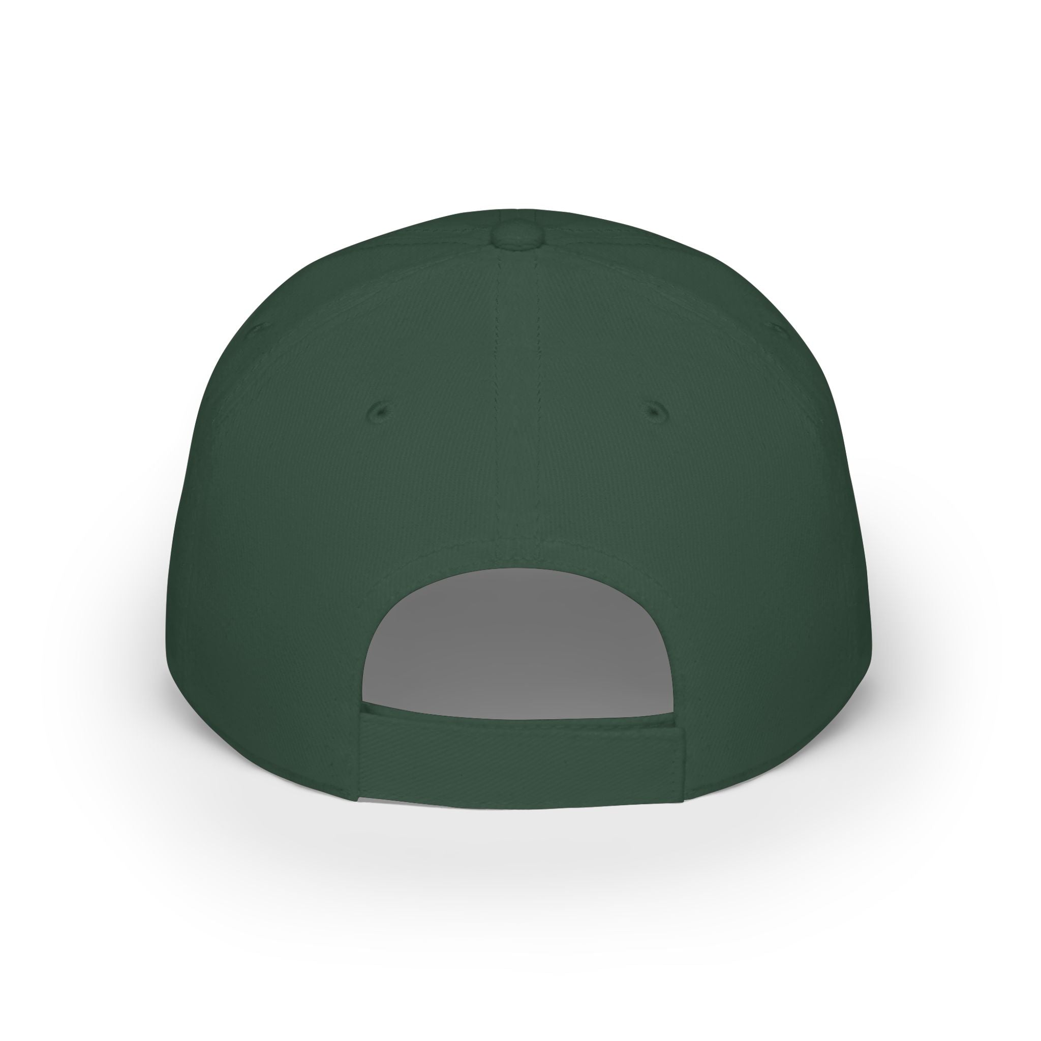 Salty Chick Low Profile Embroidered Baseball Cap – Fishing