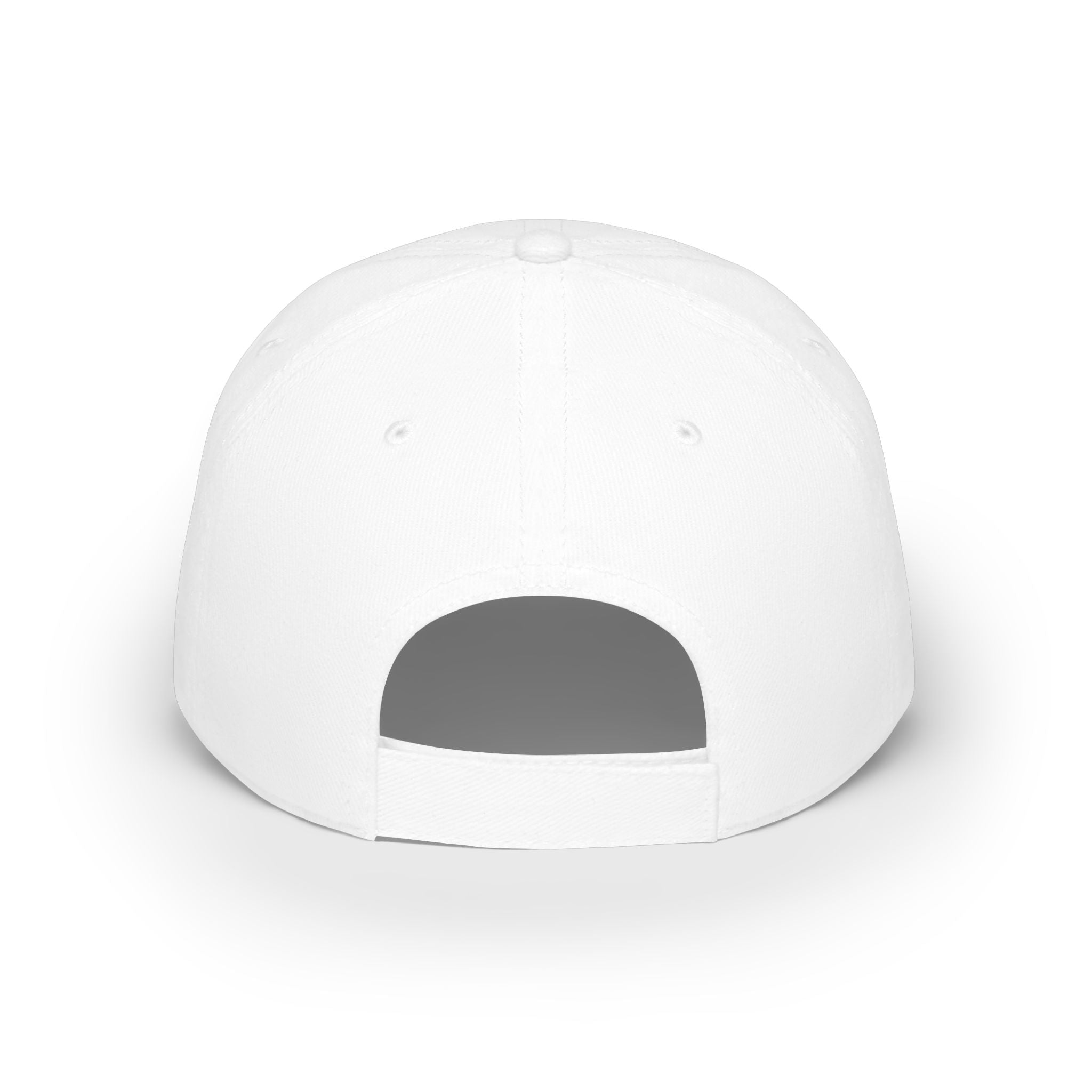 Salty Chick Low Profile Embroidered Baseball Cap – Fishing